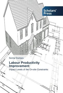 portada Labour Productivity Improvement