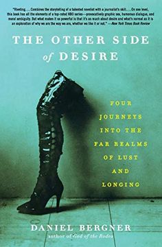 portada The Other Side of Desire: Four Journeys Into the far Realms of Lust and Longing (in English)
