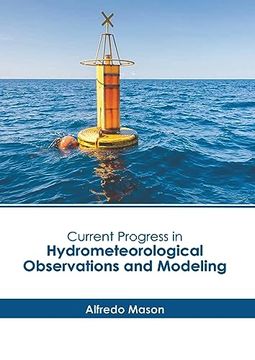 portada Current Progress in Hydrometeorological Observations and Modeling (en Inglés)