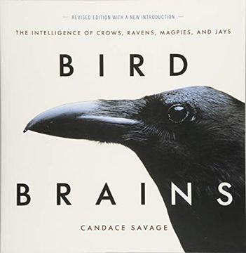 portada Bird Brains: The Intelligence of Crows, Ravens, Magpies, and Jays (en Inglés)