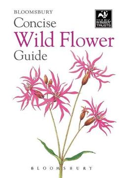 portada Concise Wild Flower Guide (The Wildlife Trusts) (in English)