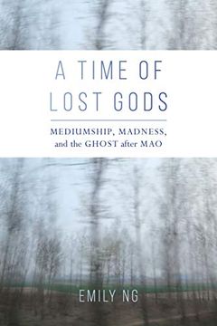 portada A Time of Lost Gods: Mediumship, Madness, and the Ghost After mao (en Inglés)