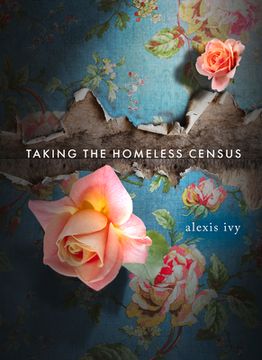 portada Taking the Homeless Census (in English)