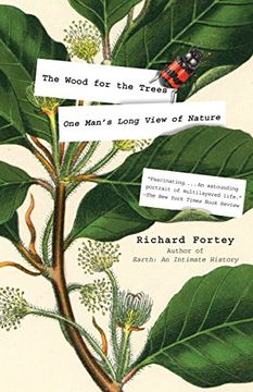 portada The Wood for the Trees: One Man's Long View of Nature 