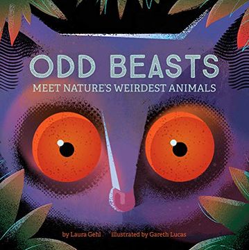portada Odd Beasts: Meet Nature'S Weirdest Animals (en Inglés)