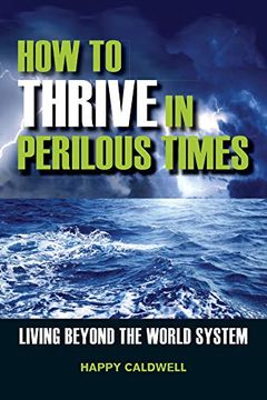 portada How to Thrive in Perilous Times: Living Beyond the World System (en Inglés)