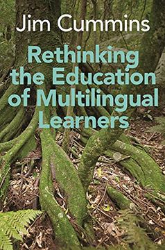 portada Rethinking the Education of Multilingual Learners: A Critical Analysis of Theoretical Concepts: 19 (Linguistic Diversity and Language Rights) (en Inglés)