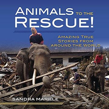 portada Animals to the Rescue! Amazing True Stories From Around the World (Sandra Markle'S Science Discoveries) (in English)