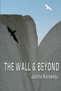 portada The Wall & Beyond