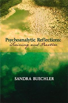 portada Psychoanalytic Reflections: Training and Practice (in English)