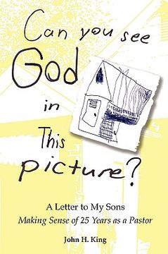 portada can you see god in this picture?: a letter to my sons making sense of 25 years of ministry