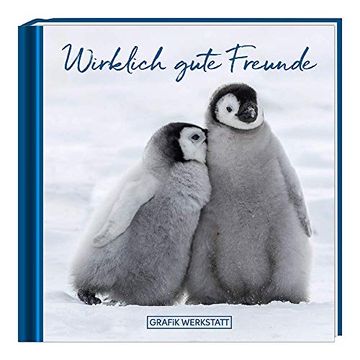 portada Wirklich Gute Freunde: Minibuch (en Alemán)