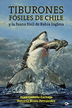 portada Tiburones Fosiles de Chile y la Fauna Fosil de Bahia Inglesa