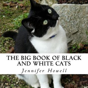 portada The Big Book of Black and White Cats: A text-free book for Seniors and Alzheimer's patients (en Inglés)