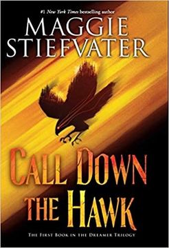 portada The Dreamer Trilogy. Book 1. Call Down the Hawk (in English)
