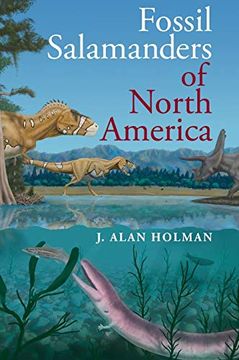 portada Fossil Salamanders of North America (en Inglés)