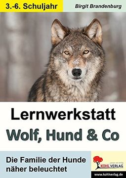 portada Lernwerkstatt Wolf, Hund & co: Die Familie der Hunde Näher Beleuchtet (en Alemán)
