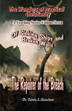 portada of sinking ships and broken walls