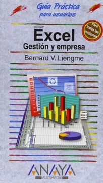 portada Excel: Gestión y Empresa (Guías Prácticas) (in Spanish)