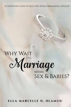 portada Why Wait Till Marriage Before Sex & Babies? (en Inglés)