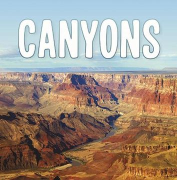 portada Canyons (Earth'S Landforms) 