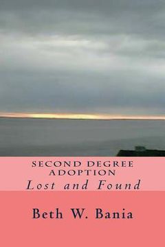 portada Second Degree Adoption: Lost and Found (in English)