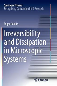 portada Irreversibility and Dissipation in Microscopic Systems (en Inglés)