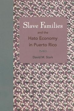 portada Slave Families and the Hato Economy in Puerto Rico (en Inglés)