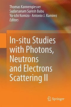 portada In-situ Studies with Photons, Neutrons and Electrons Scattering II