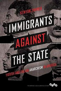 portada Immigrants Against the State: Yiddish and Italian Anarchism in America (Working Class in American History) (in English)