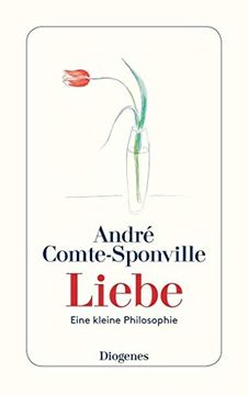 portada Liebe: Eine Kleine Philosophie (Detebe) (in German)