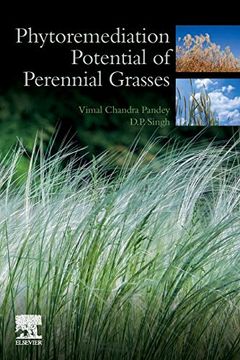 portada Phytoremediation Potential of Perennial Grasses (in English)