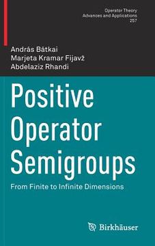 portada Positive Operator Semigroups: From Finite to Infinite Dimensions (en Inglés)