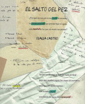 portada El Salto del Pez: Libro de Artista (in Spanish)