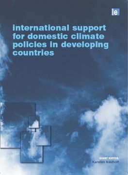 portada International Support for Domestic Climate Policies in Developing Countries (in English)