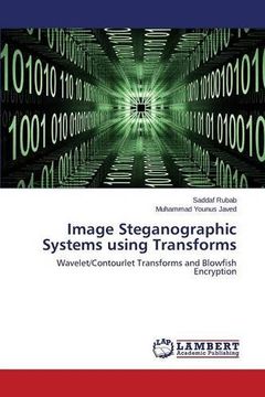 portada Image Steganographic Systems using Transforms