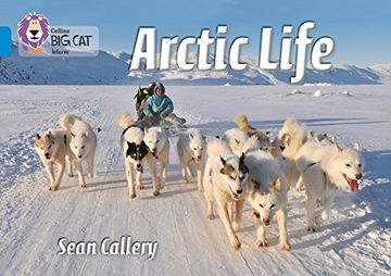 portada Arctic Life: Band 04/Blue (en Inglés)