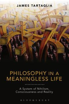portada Philosophy in a Meaningless Life (en Inglés)