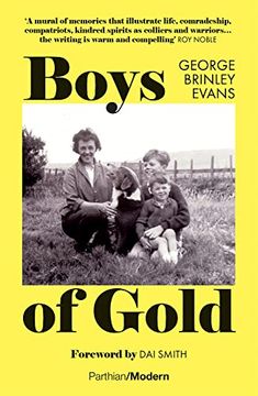 portada Boys of Gold (in English)