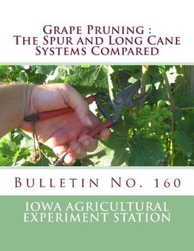 portada Grape Pruning: The Spur and Long Cane Systems Compared: Bulletin No. 160 (en Inglés)