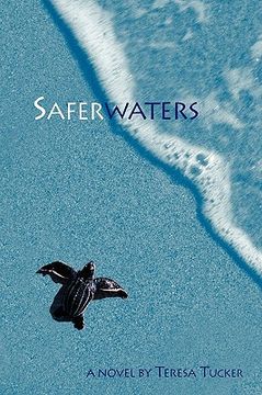 portada saferwaters (en Inglés)