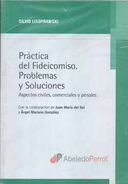 portada PRACTICA DEL FIDEICOMISO. PROBLEMAS Y SOLUCIONES.ASPECTOS CIVILES, COMERCIES Y PENALES (in Spanish)