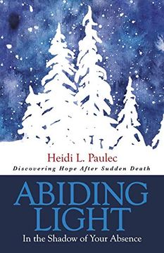 portada Abiding Light: In the Shadow of Your Absence (en Inglés)
