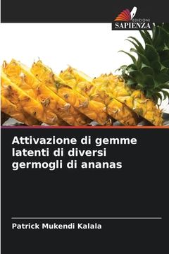 portada Attivazione di gemme latenti di diversi germogli di ananas (in Italian)