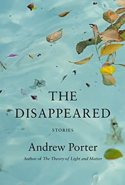portada The Disappeared: Stories (en Inglés)