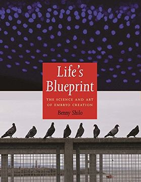portada Life's Blueprint: The Science and art of Embryo Creation (in English)