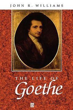 portada the life of goethe: the scope for the it-based enterprise (en Inglés)