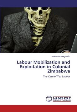 portada labour mobilization and exploitation in colonial zimbabwe (en Inglés)