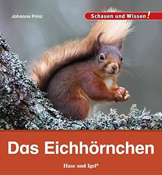 portada Das Eichhörnchen: Schauen und Wissen! (en Alemán)