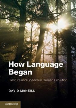 portada How Language Began (Approaches to the Evolution of Language) (en Inglés)